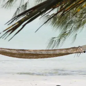 Explore An Unforgettable Island Adventure in Zanzibar 3 Days/2 Nights for 3 days with Across Africa Tours & Travel and discover unforgettable experiences - Photo 4