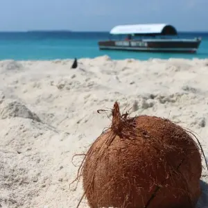 Explore An Unforgettable Island Adventure in Zanzibar 3 Days/2 Nights for 3 days with Across Africa Tours & Travel and discover unforgettable experiences - Photo 5