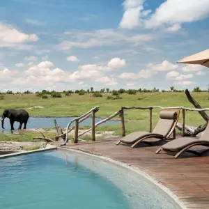 Explore The Perfect Blend of Luxury, Adventure, and Relaxation in Southern Africa 13 Days/12 Nights for 13 days with Across Africa Tours & Travel and discover unforgettable experiences - Photo 11