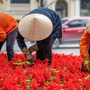 Explore Ha Noi – Ninh Binh – Ha Long Bay Tour 4 Days 3 Nights for 4 days with Across Africa Tours & Travel and discover unforgettable experiences - Photo 2