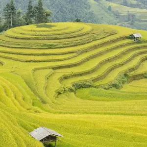 Explore Ha Noi – Ninh Binh – Ha Long Bay Tour 4 Days 3 Nights for 4 days with Across Africa Tours & Travel and discover unforgettable experiences - Photo 4