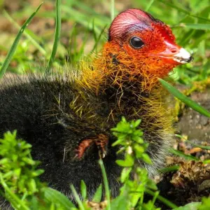 Explore Explore Malabo, Pico Basilé, Ureka & Lake Biao 5 Days/4 Nights for 5 days with Across Africa Tours & Travel and discover unforgettable experiences - Photo 2