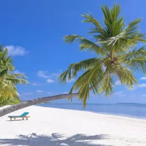 Explore An Unforgettable Island Adventure in Zanzibar 3 Days/2 Nights for 3 days with Across Africa Tours & Travel and discover unforgettable experiences - Photo 11