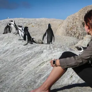 Explore Golf Wellness Retreat in South Africa’s Cape, Winelands & Garden Route  Tour 10 Days/09 Days for 10 days with Across Africa Tours & Travel and discover unforgettable experiences - Photo 2