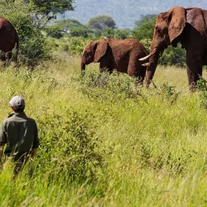 Explore Tanzania Golf & Safari Luxury Experience 10 Days/09 Nights for 10 days with Across Africa Tours & Travel and discover unforgettable experiences - Photo 4