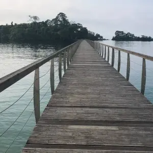 Explore Explore Malabo, Pico Basilé, Ureka & Lake Biao 5 Days/4 Nights for 5 days with Across Africa Tours & Travel and discover unforgettable experiences - Photo 7