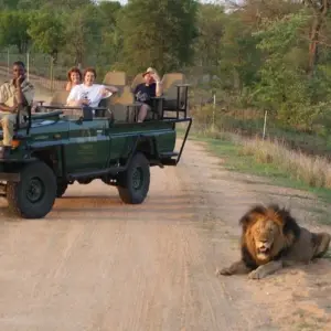 Explore Johannesburg Adventure Safari 4 Day/ 3 Nights ( Comfort) for 4 days with Across Africa Tours & Travel and discover unforgettable experiences - Photo 2
