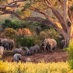 Explore Johannesburg Adventure Safari 4 Day/ 3 Nights ( Comfort) for 4 days with Across Africa Tours & Travel and discover unforgettable experiences - Photo 5