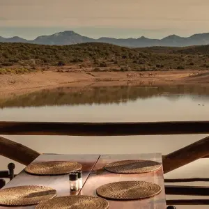 Explore Etosha Express Safari 3 Days / 2 Nights for 3 days with Across Africa Tours & Travel and discover unforgettable experiences - Photo 3