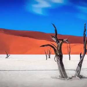 Explore Namibian Highlights Safari 15 Days/ 14 Nights ( Comfort) for 15 days with Across Africa Tours & Travel and discover unforgettable experiences - Photo 5