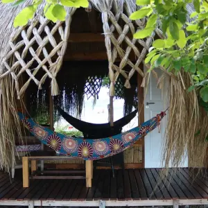 Explore Mozambique Dive Safari (Non-diver)12 Days/11  Nights for 14 days with Across Africa Tours & Travel and discover unforgettable experiences - Photo 2