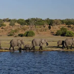 Explore 6 Days 5 Nights Best of Zimbabwe  (Comfort) for 6 days with Across Africa Tours & Travel and discover unforgettable experiences - Photo 2