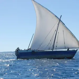 Explore Madagascar Nosy Be Experience for 6 Days/5 Nights for 6 days with Across Africa Tours & Travel and discover unforgettable experiences - Photo 3
