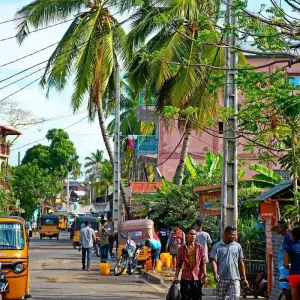 Explore Madagascar Signature 22Days /21Nights ( Comfort) for 22 days with Across Africa Tours & Travel and discover unforgettable experiences - Photo 2