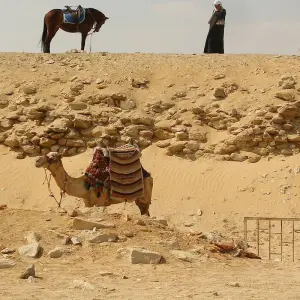 Explore Wonders of Egypt 10 Days /9 Nights( Comfort Plus ) for 10 days with Across Africa Tours & Travel and discover unforgettable experiences - Photo 4