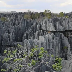 Explore South Madagascar Discovery 9 Days /8 Nights for 9 days with Across Africa Tours & Travel and discover unforgettable experiences - Photo 3