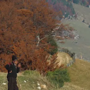 Explore Transylvanian Village Life in the Carpathian Mountains: An Eco-Certified Experience for 8 days with Active Travel and discover unforgettable experiences - Photo 3