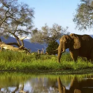 Explore Best of Zimbabwe Experience 6 Days 5 Nights (Comfort Plus) for 7 days with Across Africa Tours & Travel and discover unforgettable experiences - Photo 8
