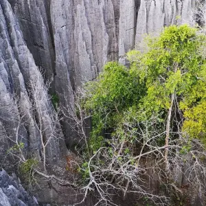 Explore South Madagascar Discovery 9 Days /8 Nights for 9 days with Across Africa Tours & Travel and discover unforgettable experiences - Photo 5