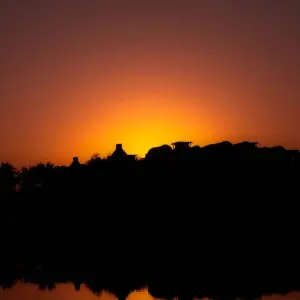 Explore Cairo and Alexandria Discovery 5 Days 4 Nights for 5 days with Across Africa Tours & Travel and discover unforgettable experiences - Photo 4