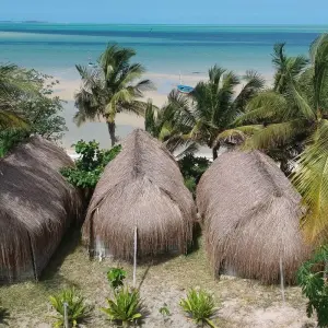 Explore Mozambique Dive Safari (Non-diver)12 Days/11  Nights for 14 days with Across Africa Tours & Travel and discover unforgettable experiences - Photo 10