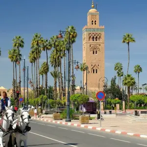 Explore Morocco Discovery from Marrakech 7 Days 6 Nights for 7 days with Across Africa Tours & Travel and discover unforgettable experiences - Photo 2