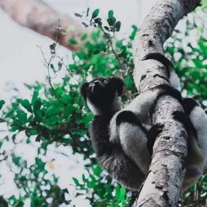 Explore South Madagascar Discovery 9 Days /8 Nights for 9 days with Across Africa Tours & Travel and discover unforgettable experiences - Photo 6