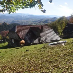 Explore Explore the Carpathians' Gate - self guided tour for 8 days with Active Travel and discover unforgettable experiences - Photo 3