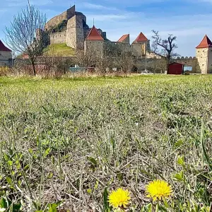 Explore Medieval Wonders of Transylvania: 3-Day Small Group Tour from Brașov for 3 days with Active Travel and discover unforgettable experiences - Photo 5