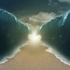 Explore Cairo and Alexandria Discovery 5 Days 4 Nights for 5 days with Across Africa Tours & Travel and discover unforgettable experiences - Photo 7