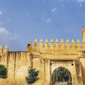 Explore Morocco Discovery from Marrakech 7 Days 6 Nights for 7 days with Across Africa Tours & Travel and discover unforgettable experiences - Photo 4