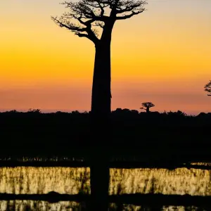 Explore Madagascar Signature 22Days /21Nights ( Comfort) for 22 days with Across Africa Tours & Travel and discover unforgettable experiences - Photo 9