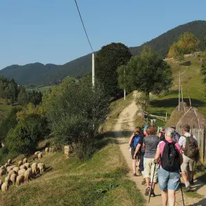 Explore Transylvanian Village Life in the Carpathian Mountains: An Eco-Certified Experience for 8 days with Active Travel and discover unforgettable experiences - Photo 7