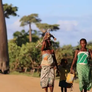 Explore Madagascar Signature 22Days /21Nights ( Comfort) for 22 days with Across Africa Tours & Travel and discover unforgettable experiences - Photo 10