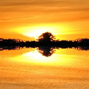 Explore Burundian Adventure Safari 7D /6 N (Comfort Plus) for 7 days with Across Africa Tours & Travel and discover unforgettable experiences - Photo 4