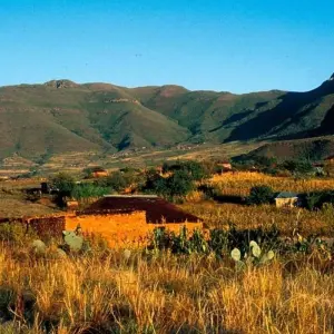 Explore Addo, Lesotho & Drankensburg Experience 7Days/6 Nights ( Comfort) for 7 days with Across Africa Tours & Travel and discover unforgettable experiences - Photo 11