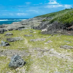 Explore Mauritius Experience 10 Days/9Nights for 10 days with Across Africa Tours & Travel and discover unforgettable experiences - Photo 3