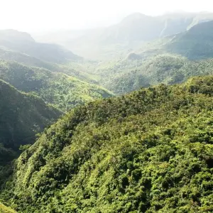 Explore Mauritius Experience 5Days /4 Nights (Comfort) for 5 days with Across Africa Tours & Travel and discover unforgettable experiences - Photo 2