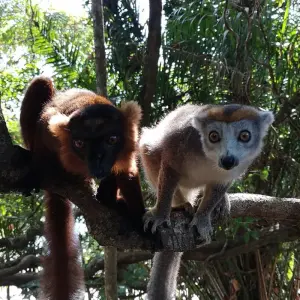 Explore South Madagascar Discovery 9 Days /8 Nights for 9 days with Across Africa Tours & Travel and discover unforgettable experiences - Photo 11