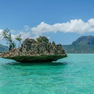 Explore Mauritius Experience 10 Days/9Nights for 10 days with Across Africa Tours & Travel and discover unforgettable experiences - Photo 4