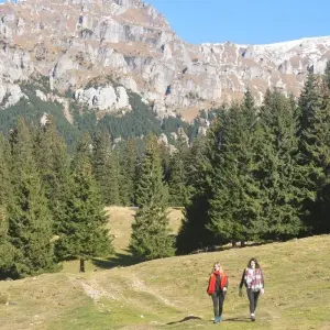 Explore Explore the Carpathians' Gate - self guided tour for 8 days with Active Travel and discover unforgettable experiences - Photo 7