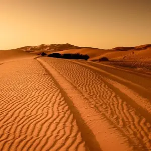 Explore Morocco Adventure Safari 14 Days 13 Nights (Comfort Plus) for 14 days with Across Africa Tours & Travel and discover unforgettable experiences - Photo 9