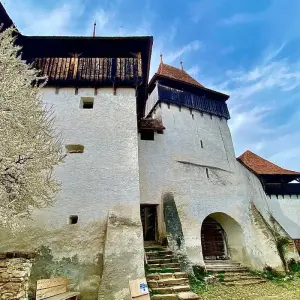 Explore Medieval Wonders of Transylvania: 3-Day Small Group Tour from Brașov for 3 days with Active Travel and discover unforgettable experiences - Photo 8
