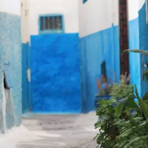 Explore Morocco Adventure Safari 14 Days 13 Nights (Comfort Plus) for 14 days with Across Africa Tours & Travel and discover unforgettable experiences - Photo 10