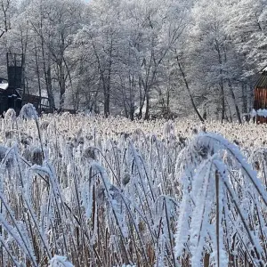 Explore Highlights of Romania Private Tour - Transylvania, Maramures and Bucovina - 12 days round trip for 12 days with Active Travel and discover unforgettable experiences - Photo 8