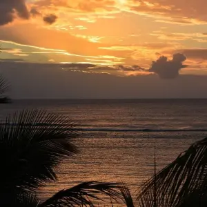 Explore Mauritius Experience 5Days 4 Nights for 5 days with Across Africa Tours & Travel and discover unforgettable experiences - Photo 6