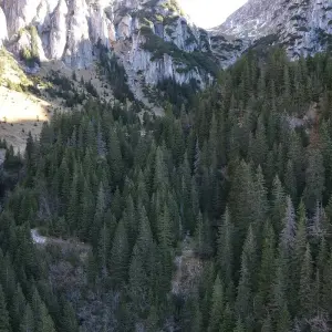 Explore Explore the Carpathians' Gate - self guided tour for 8 days with Active Travel and discover unforgettable experiences - Photo 10