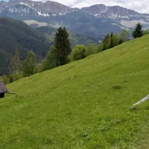 Explore Explore the Carpathians' Gate - self guided tour for 8 days with Active Travel and discover unforgettable experiences - Photo 11