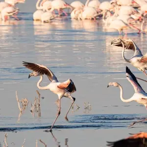 Explore 7 Days 6 Nights The Best of Kenya Adventure for 7 days with Across Africa Tours & Travel and discover unforgettable experiences - Photo 6