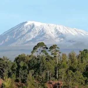 Explore Climb Mt kilimanjaro Rongai Route 8 days 7 Nights for 8 days with Across Africa Tours & Travel and discover unforgettable experiences - Photo 2